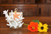 Sold - Natural Coral & Starfish Design, Coconut Soy Round Candle, Cucumber Mint Scent