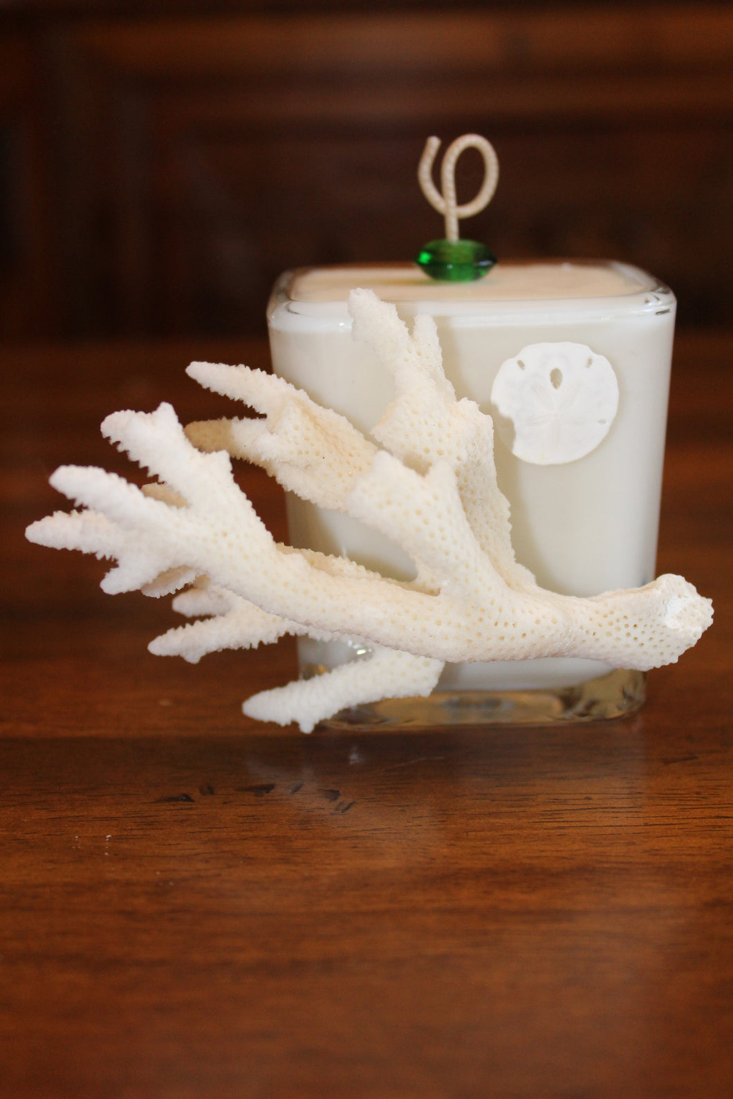 Sold - Natural Coral & Sand Dollar Design, Coconut Soy Square Candle, Cucumber Mint Scent