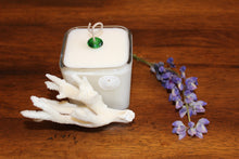 Sold - Natural Coral & Sand Dollar Design, Coconut Soy Square Candle, Cucumber Mint Scent