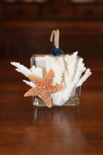 Sold - Natural Coral & Starfish Design, Coconut Soy Square Votive Candle, Pear Pomegranate Scent