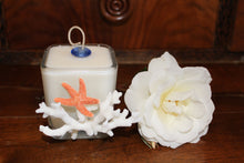 Sold - Natural Coral & Starfish Design, Coconut Soy Square Candle, Pear Pomegranate Scent