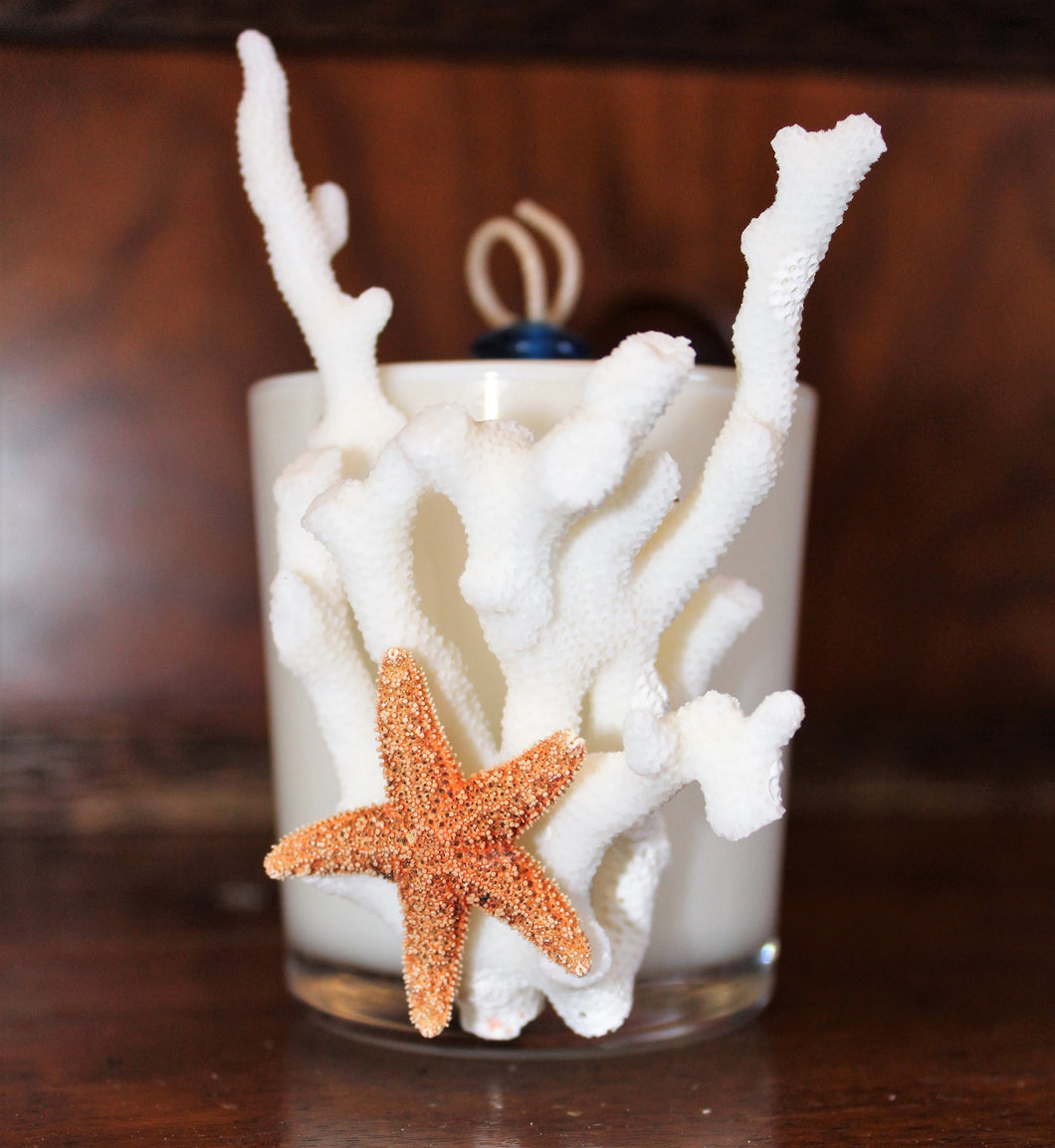 Sold - Natural Coral & Starfish Design, Coconut Soy Round Candle, Pear Pomegranate Scent
