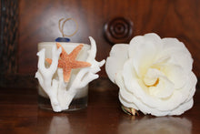 Sold - Natural Coral & Starfish Design, Coconut Soy Votive Candle, Pear Pomegranate Scent
