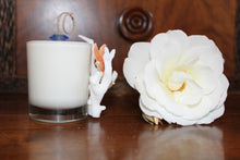 Sold - Natural Coral & Starfish Design, Coconut Soy Votive Candle, Pear Pomegranate Scent