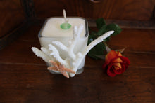 Sold - Natural Coral & Starfish Design, Coconut Soy Square Candle, Cucumber Mint Scent
