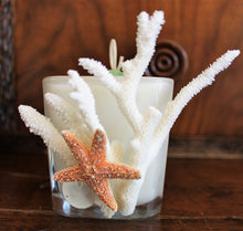 Sold - Natural Coral & Starfish Design, Coconut Soy Square Candle, Cucumber Mint Scent