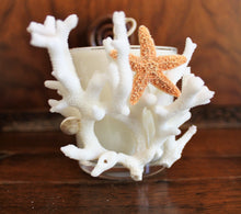 Sold - Natural Coral & Starfish Design, Coconut Soy Round Candle, Cucumber Mint Scent