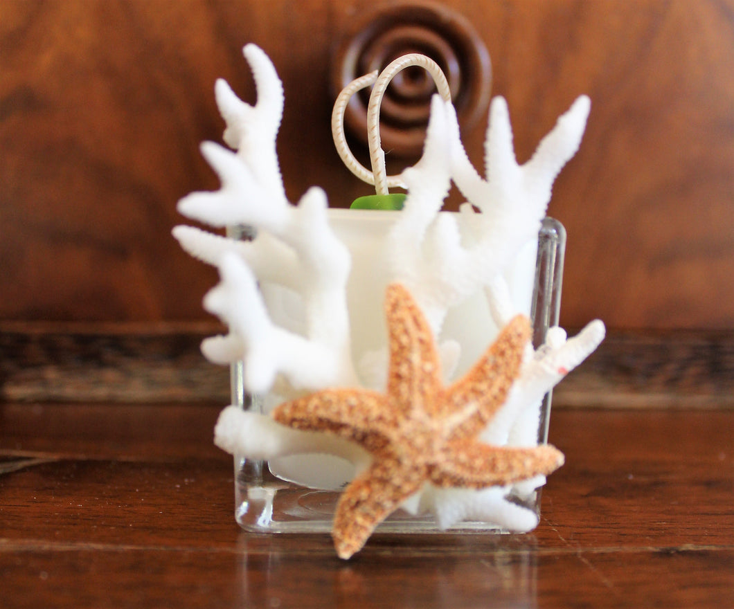 Sold - Natural Coral & Starfish Design, Coconut Soy Votive Candle, Cucumber Mint Scent
