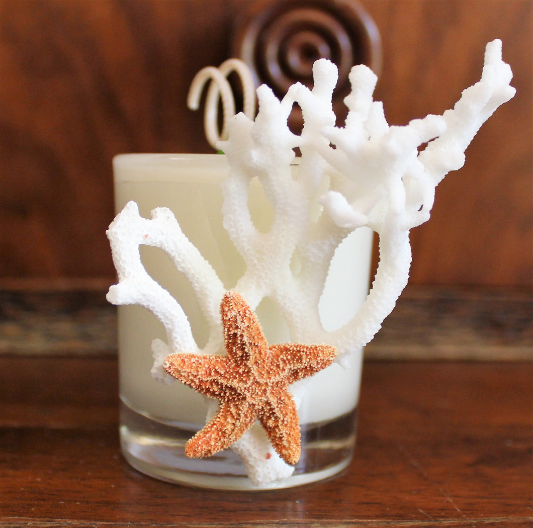 Sold - Natural Coral & Starfish Design, Coconut Soy Votive Candle, Cucumber Mint Scent