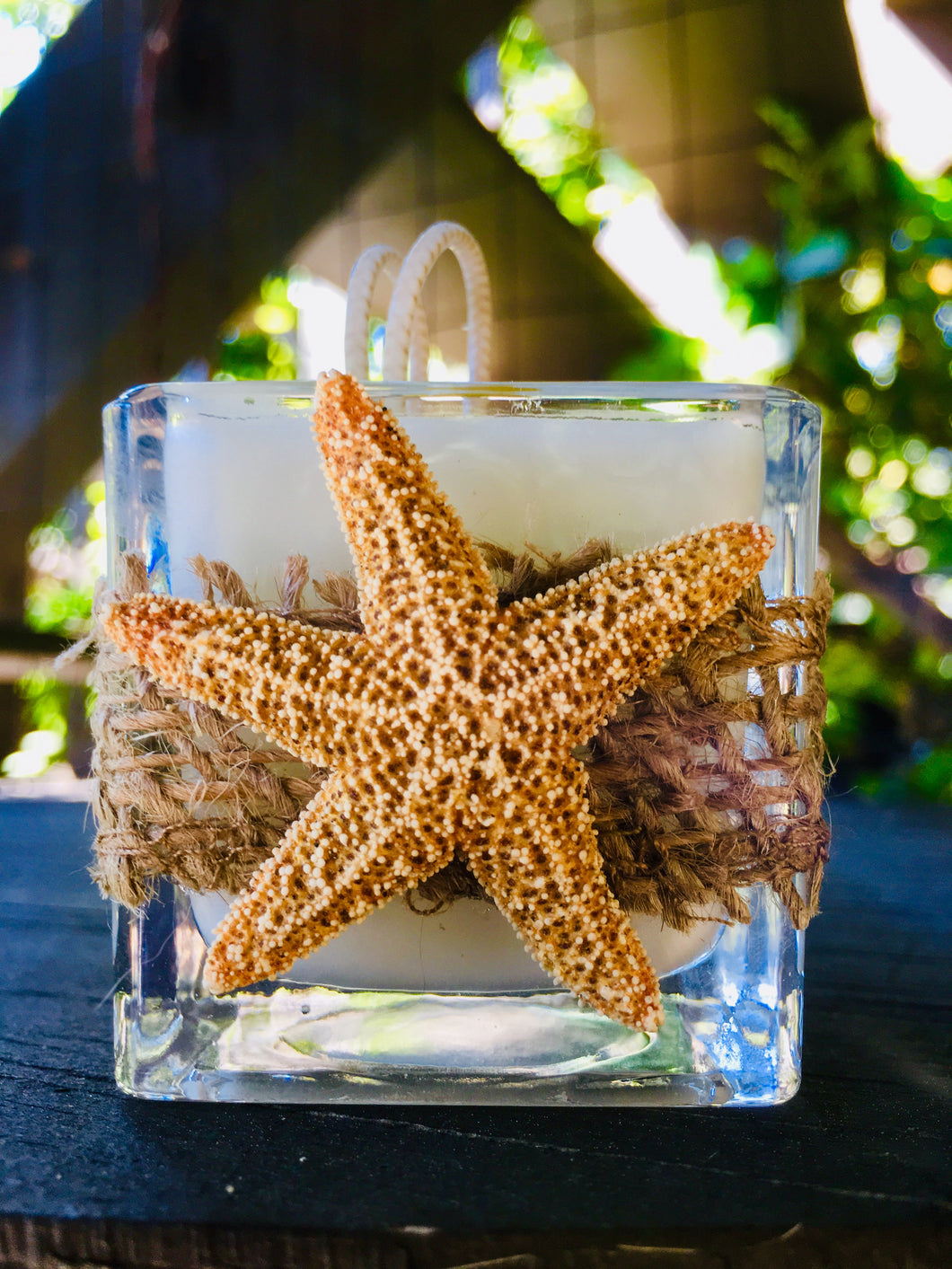 Natural Starfish Band Design ~ Coconut Soy Wax Square Votive Candle