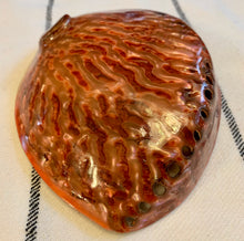 Haliotis Midae Abalone Shell - Dyed Red