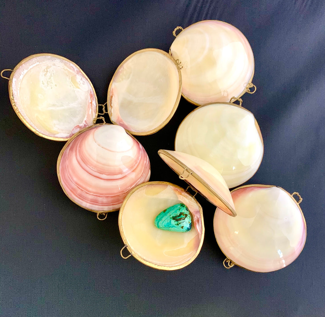 Genuine Clam Sea Shell Brass Hinged Jewelry Mermaid Trinket Box Coin Purse  NICE - Gutes aus Vorpommern
