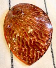 Haliotis Midae Abalone Shell - Dyed Red