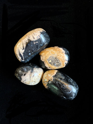 Palm Root Tumbled Healing Stone